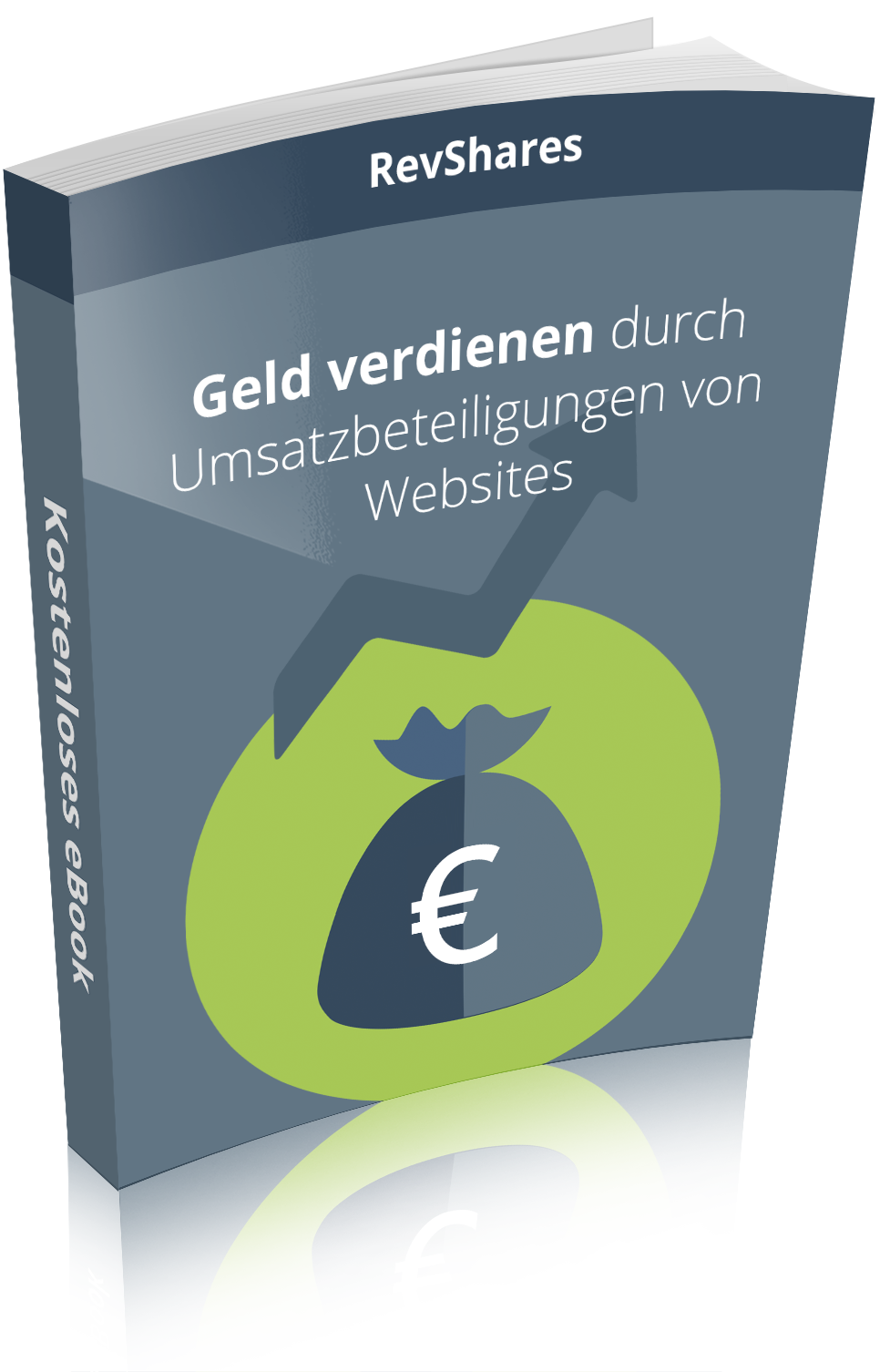 Mit RevShares Geld verdienen - Sonstige Spiele Hobby - Steinach