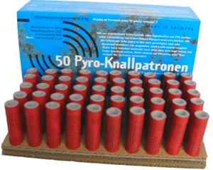 Suche Vogelschreck Starrenschreck - Chemie - Worblingen
