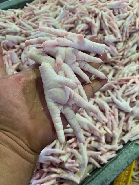 Chicken Products For Sale Export - Brett Gesellschaftsspiele - brazil