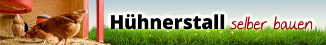 Hühnerstall selber bauen - Sonstige Spiele Hobby - Neukirchen-Vluyn